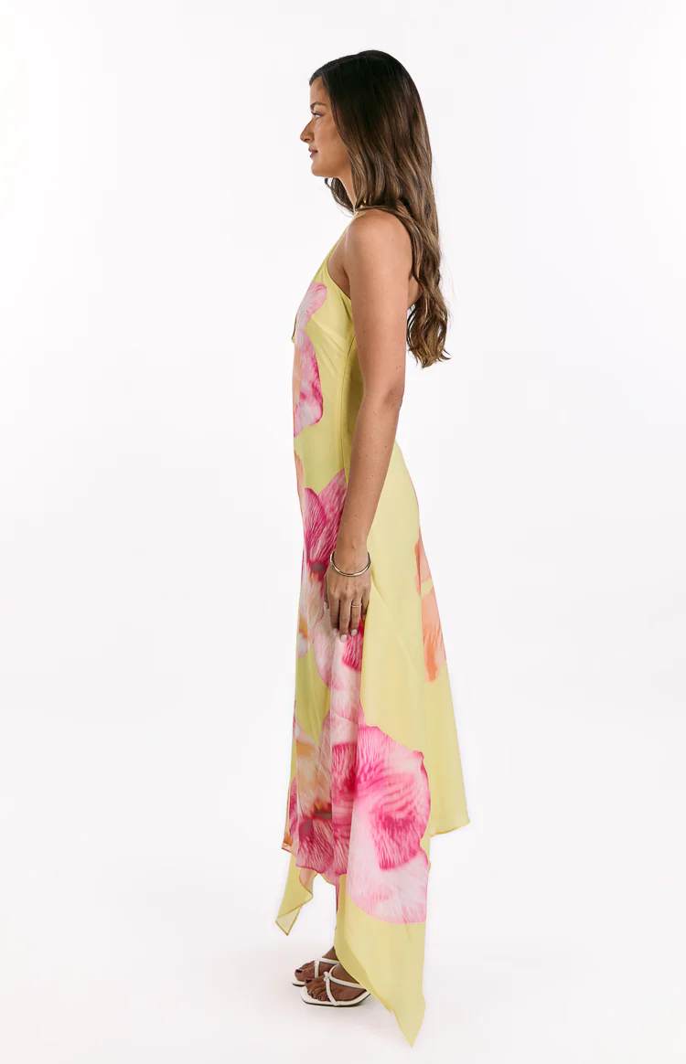 Elowen Yellow Hibiscus Floral Halter Maxi Dress - Image 4